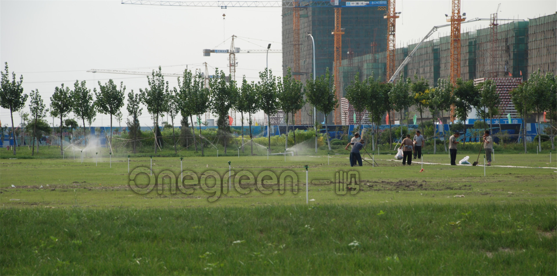 天津海泰迷你高爾夫